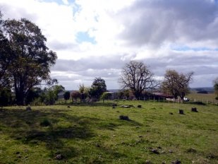 Campo Ca103