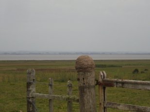 Campo Ca114