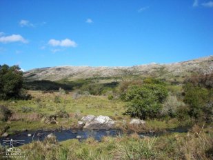 Chacra Ch105