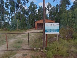 Chacra Ch161