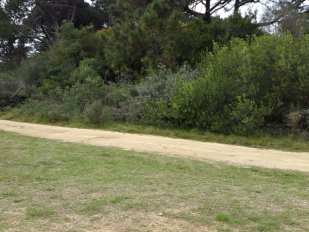Terreno T202